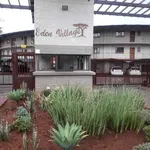 Rent 2 bedroom apartment in Pretoria