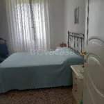 Rent 2 bedroom apartment of 75 m² in Segrate