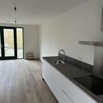 Rent 6 bedroom house of 126 m² in Brabantpark