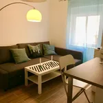 Alquilo 2 dormitorio apartamento de 45 m² en Malaga']