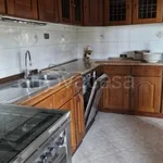 Rent 3 bedroom apartment of 100 m² in Modena