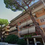 Rent 1 bedroom apartment of 27 m² in Roma