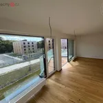 Rent 2 bedroom apartment of 53 m² in Praha 5