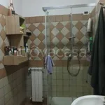 Rent 2 bedroom apartment of 50 m² in Viterbo