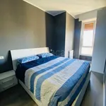 Rent 2 bedroom apartment of 45 m² in Milano