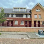 Rent 3 bedroom apartment of 81 m² in Buitenuitbreiding-West