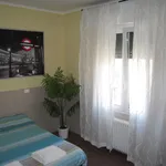 Rent 1 bedroom apartment in Bologna