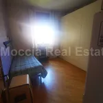 Rent 4 bedroom apartment of 150 m² in Caserta