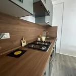 Rent 3 bedroom apartment of 80 m² in Genoa