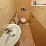 Rent 1 bedroom apartment of 30 m² in Capital City of Prague