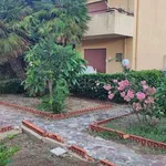 Affitto 3 camera appartamento di 85 m² in Messina