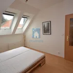 Rent 2 bedroom apartment of 56 m² in Pilsen