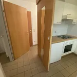 Miete 1 Schlafzimmer wohnung von 31 m² in Graz