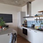 Huur 2 slaapkamer appartement van 65 m² in Noordelijke IJ-oevers-West