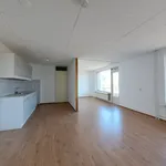 Huur 1 slaapkamer appartement van 53 m² in Heerlen