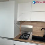 Rent 1 bedroom apartment in Prague