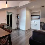 Rent 3 bedroom apartment of 45 m² in Turin