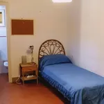 Rent 1 bedroom apartment of 20 m² in Florence