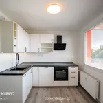 Rent 2 bedroom apartment of 47 m² in Sezimovo Ústí