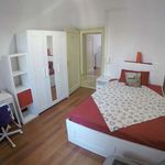 Rent a room in Firenze