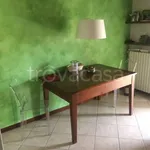 Rent 4 bedroom apartment of 125 m² in Piacenza