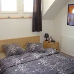 Huur 1 slaapkamer appartement in Ixelles