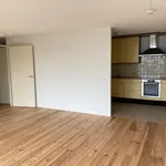 Boulevard, Egmond aan zee - Amsterdam Apartments for Rent