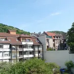 Rent 2 bedroom apartment of 50 m² in Heidelberg