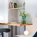 Rent 3 bedroom apartment of 50 m² in Torino