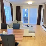 Miete 1 Schlafzimmer wohnung von 592 m² in vienna