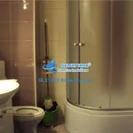 Rent 1 bedroom house of 35 m² in Bucharest