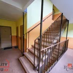 Rent 2 bedroom apartment of 40 m² in Krupka