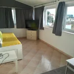 Rent 1 bedroom apartment of 80 m² in Odeceixe