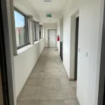 Rent 2 bedroom apartment in Veselí nad Moravou