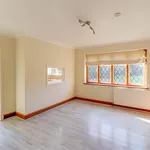 Rent 7 bedroom apartment in Waverley