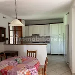 Rent 5 bedroom apartment of 100 m² in Monteaperti