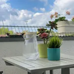 Rent 2 bedroom apartment of 50 m² in Duisburg