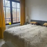 Rent 3 bedroom apartment of 57 m² in Szczecin