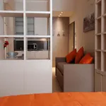 Rent 1 bedroom apartment in Bologna