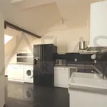 Rent 3 bedroom apartment of 133 m² in Prague