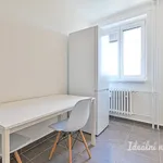 Rent 2 bedroom apartment in Brno