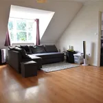 Rent 1 bedroom flat in Hart