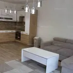 Rent 1 bedroom apartment of 70 m² in Szolnok