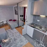 Rent 1 bedroom apartment of 25 m² in Paris