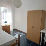 Alugar 4 quarto apartamento em Castelo Branco