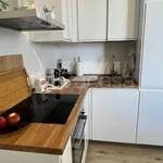 Rent 2 bedroom apartment of 45 m² in Milano