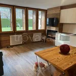 Rent 2 bedroom apartment of 45 m² in Pinzolo