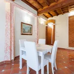 Rent 1 bedroom apartment in Florence