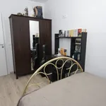 Rent 3 bedroom apartment in Madrid