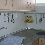 Rent 1 bedroom apartment of 55 m² in Malaga']